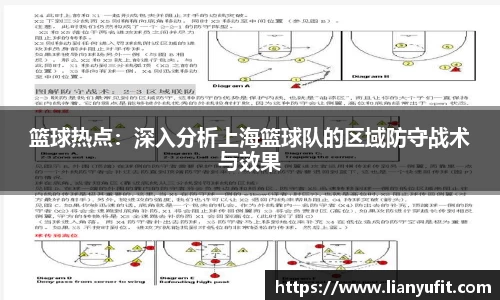 篮球热点：深入分析上海篮球队的区域防守战术与效果