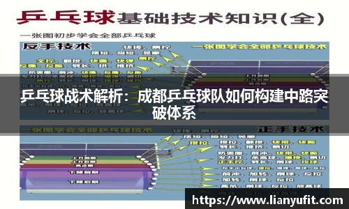 乒乓球战术解析：成都乒乓球队如何构建中路突破体系